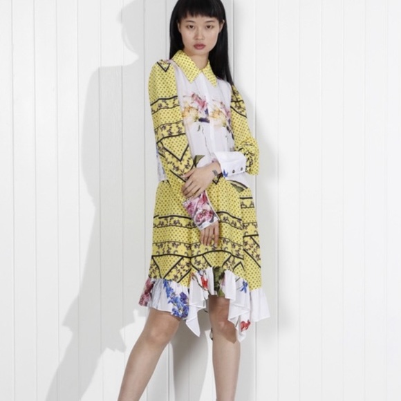 Ganni Dresses & Skirts - NEW GANNI Hemlock Silk Chiffon Floral Color Block Dress - Size 4